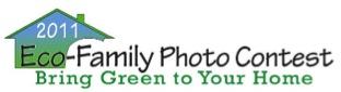 Bolingbrook Window Company Opal Enterprises, Participates In Local Earth Friendly Contest