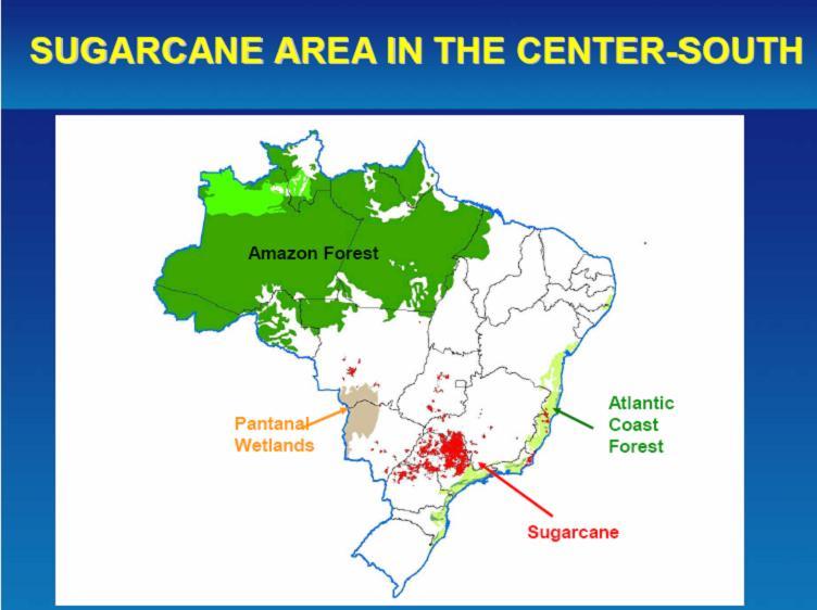 Brazil Sugarcane production area