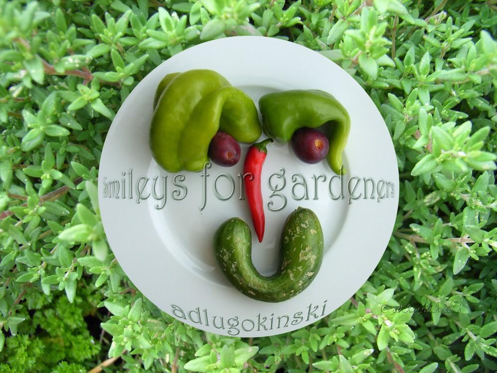 Connoisseurs, gardeners, philosophers as well as adlugokinski go across the market or through the garden and see reason for joy or mourning everywhere.