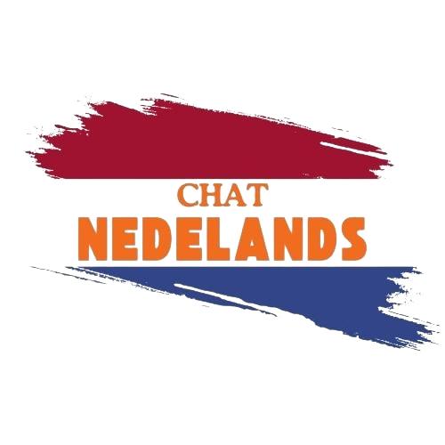 Visualize a future where AI not only simplifies tasks but also inspires innovation and growth. By bringing advanced AI capabilities directly to Dutch-speaking users, this platform makes technology more approachable and effective. Embrace this opportunity