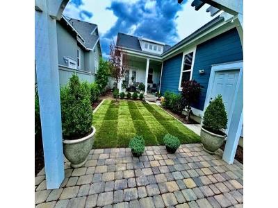 A beautifully designed backyard featuring a perfectly striped green lawn bordered by a stone paver patio. The space is framed by a white pergola and several large planters containing neatly manicured shrubs, all set against a modern blue-sided home under