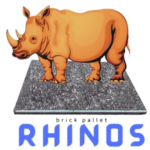 Linyi Rhinos Pallet Manufacturing Co., Ltd. Celebrates a Decade