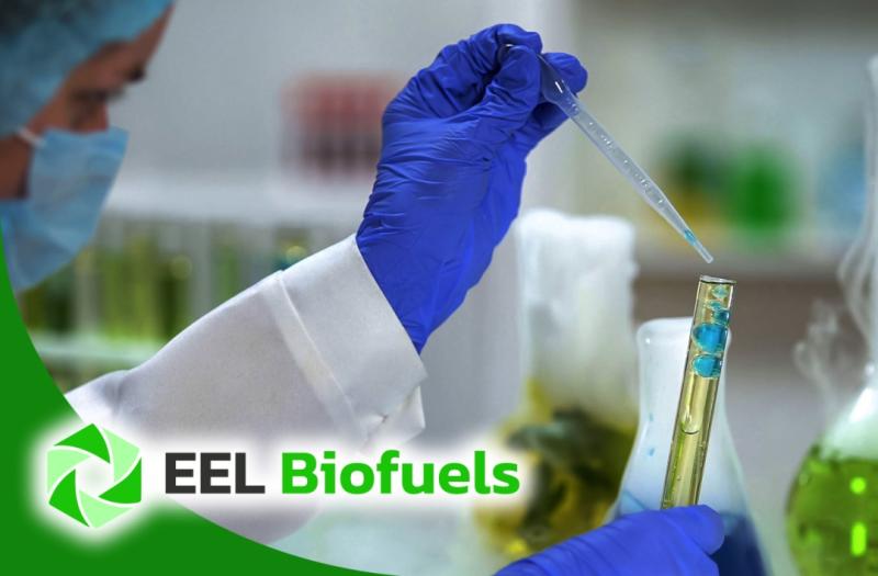 EEL Biofuels - Potential Strategic Partnership with Major