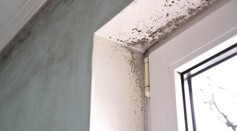 Redefined Restoration - Chicago Water Damage Service