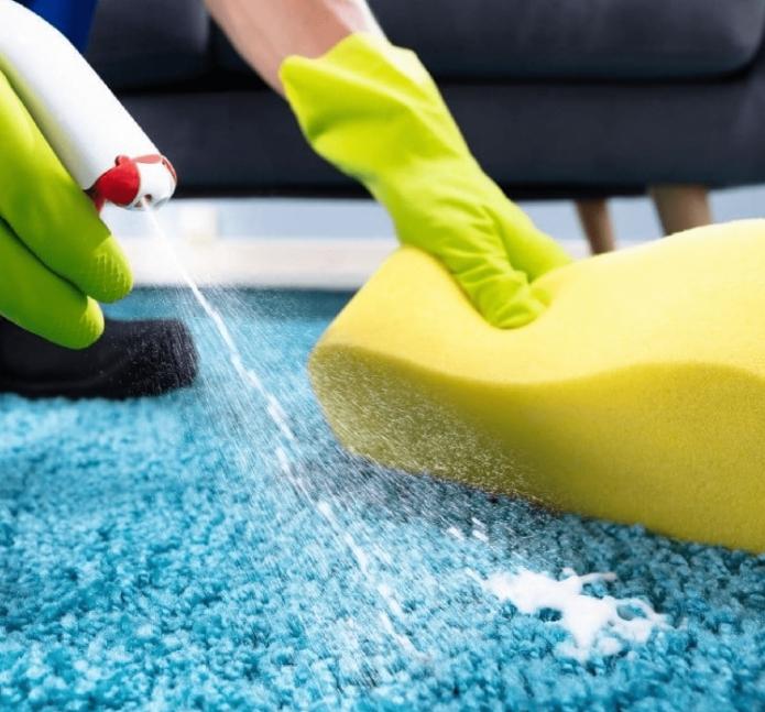 Priority Carpet Cleaning