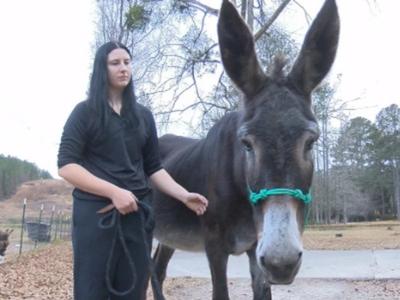 Heartwarming True Story Comes to Life in New Children's Book