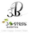 3 Birds Marketing