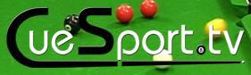 Live Snooker Coverage Causes Rise in Website Traffic