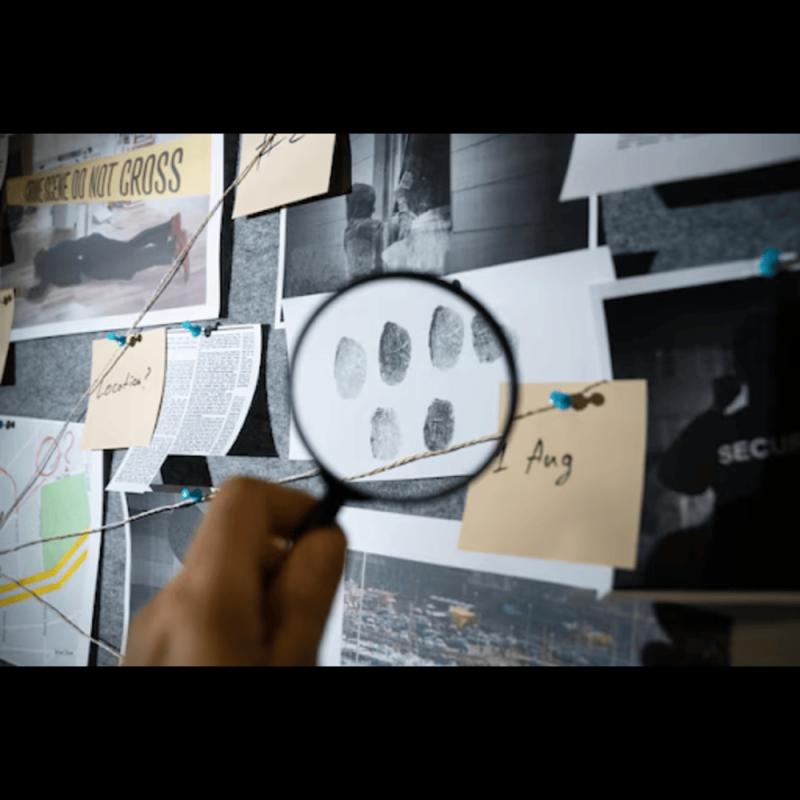 Mike Private Investigation: Uncovering the Truth - A Case Study