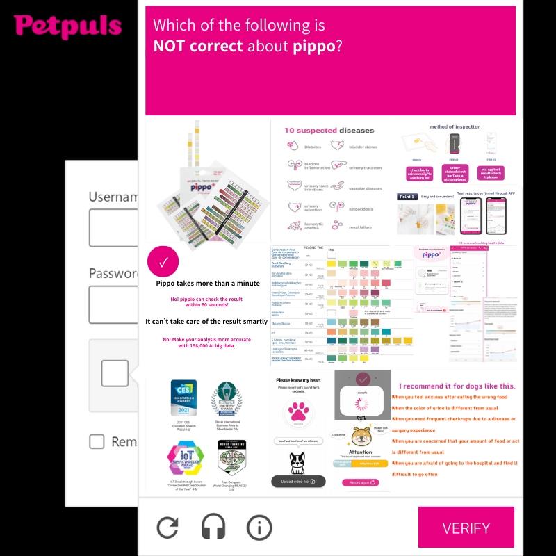 Petpuls Lab revolutionizes Pet care with AI - Driven Pippo Urine