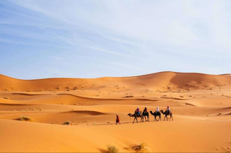 Saharies: Tailored desert expeditions immersing in Morocco's