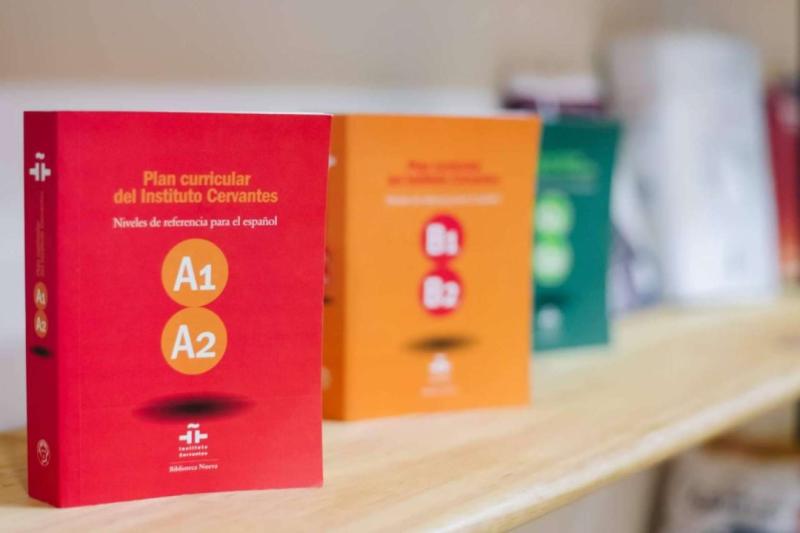 Spanish language school in Barcelona, an immersive experience