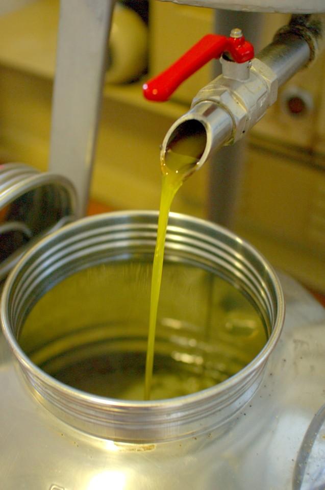 The liquid Umbrian gold pouring fresh from the oil mill