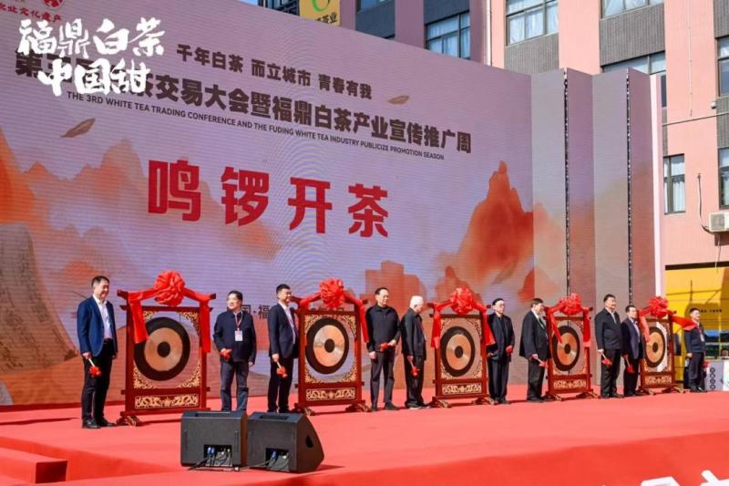 Fuding White Tea Festival 2025: Bridging Tradition