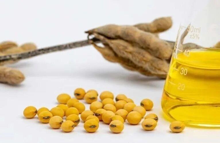 Brazil's Soybean Processing Volume Set to Break Record in 2026