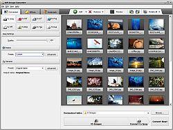 AVS Image Converter 1.2 Launches with Image-to-PDF conversion