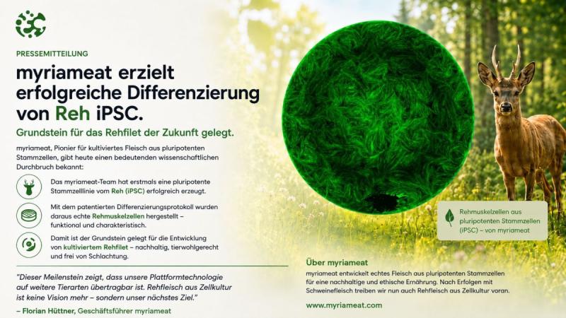 myriameat achieves successful differentiation of venison iPSCs ( (C) myriameat GmbH)