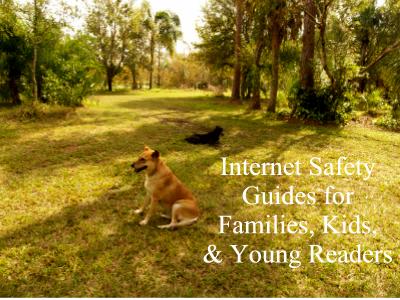 Internet Safety Guides for Home Computer Users