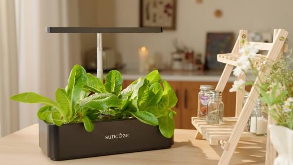 Suncoze Introduces Its Smart Hydroponic System, Bringing