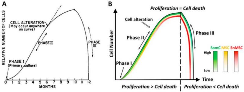 Immortal Cells: Technical Strategies and Experimental