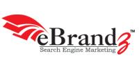 eBrandz Search Engine Optimization India