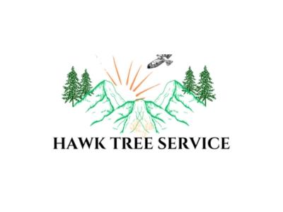 Customer Satisfaction Drives Rising Positive Reviews for Hawk