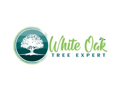 White Oak Tree Expert Celebrates More Than 160 Google Reviews