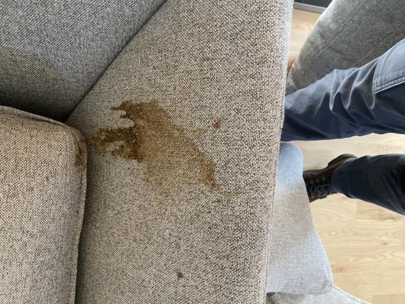 Service records from Feet Up Carpet Cleaning of Towson show that concealed stains are frequently discovered after new homeowners take possession of a property
