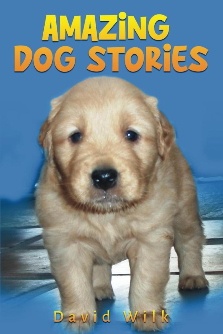 Amazing Dog Stories Celebrates the Unbreakable Bond between Humans and Their Canine Companions