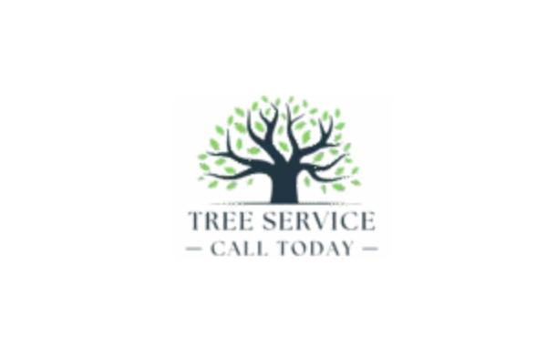 TreeServiceBurbankCA.com Launches to Connect Burbank Residents with Professional Tree Care Services