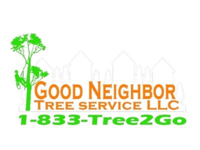 Kannapolis Tree Experts Warn Homeowners About Costly Risks from Overgrown Limbs This Season