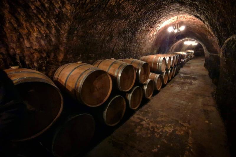 Is oak in wine as essential as salt on a steak? A question that shapes the wine experience