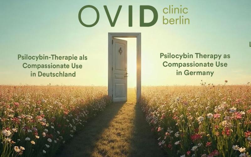 Medical milestone: Psilocybin therapy possible outside of studies for the first time in Germany