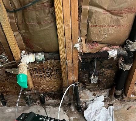 South Charlotte Homes Protected with Advanced Mold Remediation from Best Option Restoration