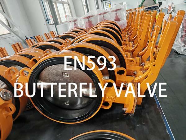 What Is An En593 Butterfly Valve And What Are Its Standard Details?