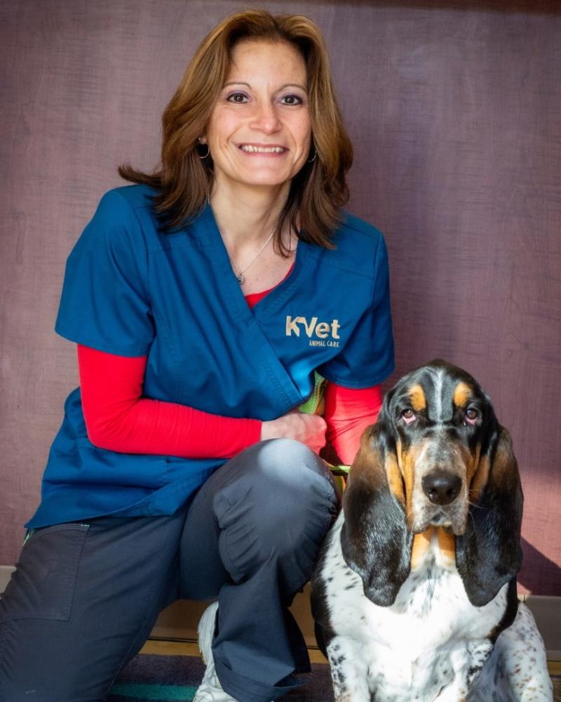 Pet Chiropractor Services at K. Vet Animal Care Gain Popularity Among Greensburg Pet Owners