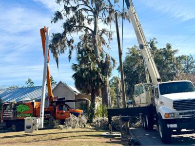 Gateway Tree Service Urges Florida Property Owners to Address