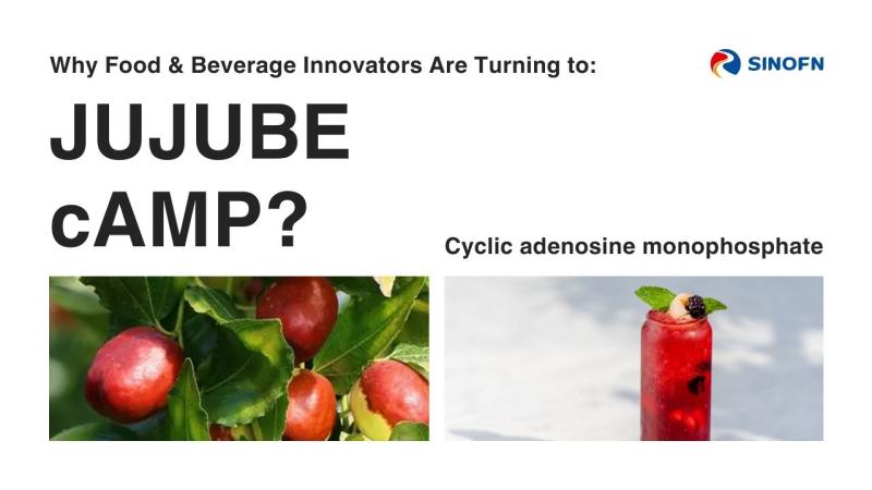 Clinical Trial Insights on Jujube cAMP Extract | Chapter 1