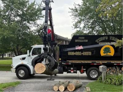 Tino's Tree Service Highlights Rising Concerns Over Hazardous