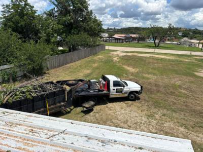 Borders Tree Services Expands Capacity to Meet Growing Tree Care