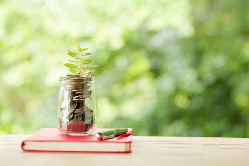 Financial Literacy 2025 Denali Trading Group review: 10 Rules Every Investor Should Know