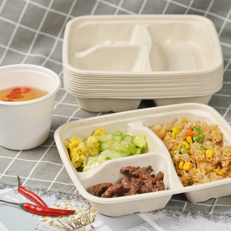 What are the differences between PFAS-free and conventional bagasse food packaging products?