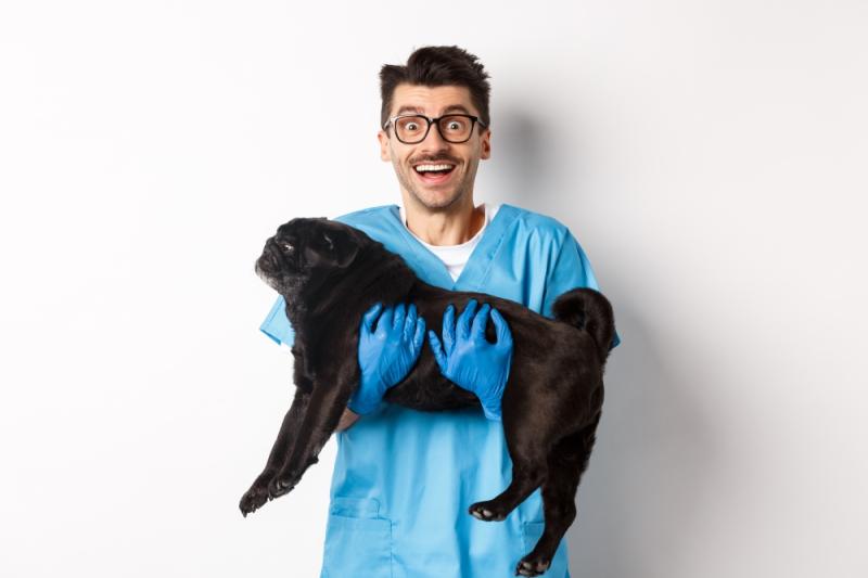 Country Creek Animal Hospital Recognized as a Trusted Allen Veterinarian Delivering Complete Pet Care