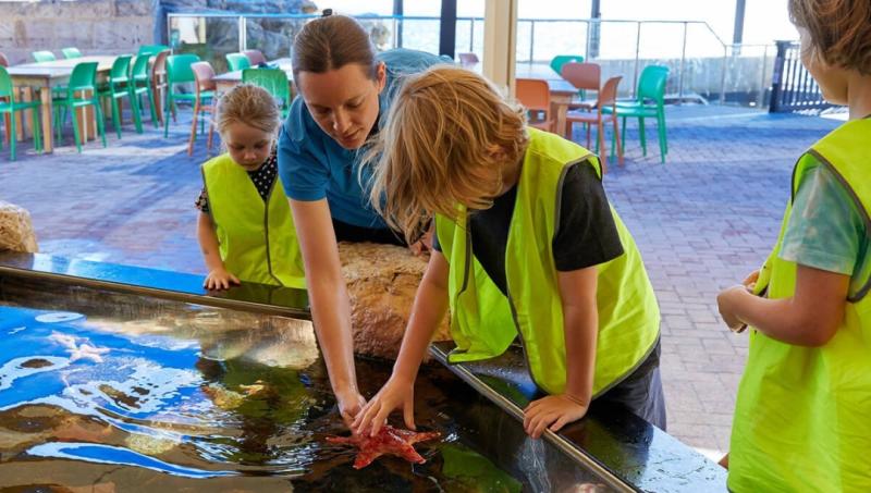 OceanThemed Learning Comes Alive at AQWA for Vacation Care and OSHC Groups
