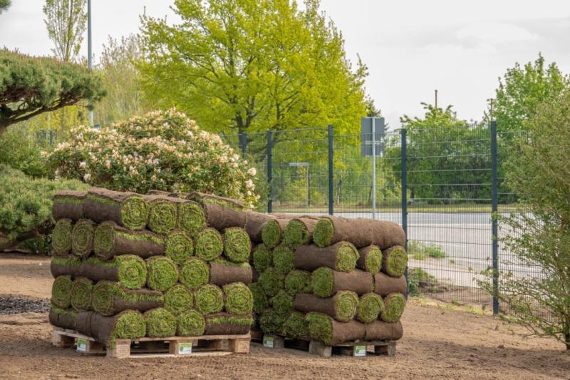 404 Sod Provides Bulk Sod Supply for Large Scale Landscaping Projects
