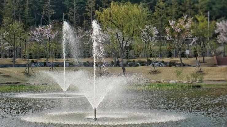 Fountain Mountain Partners with Local Conservation Groups to Enhance Urban Water Feature Management