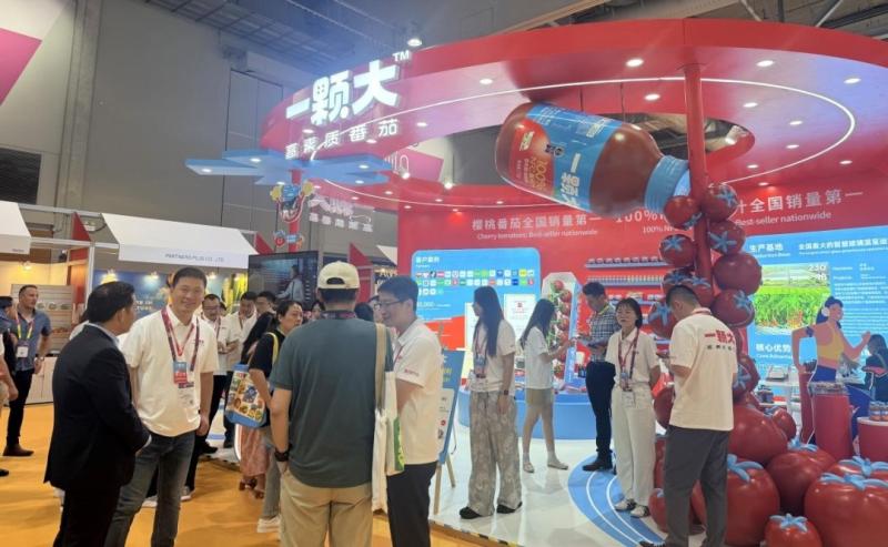 Unleashing confidence in overseas expansion, achieving results far exceeding expectations, High-end fruit tomato brand YIKEDA debuts at Asia Fruit Logistica