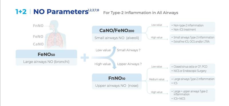 FeNO50 vs. FeNO200 Offers Two Distinct Windows into Airway