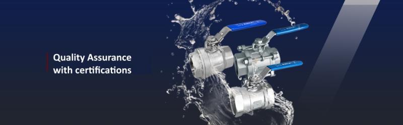 Anix Valve USA Redefines Wholesale Valve Sourcing with Massive Direct-from-Manufacturer Inventory for Industrial Distributors