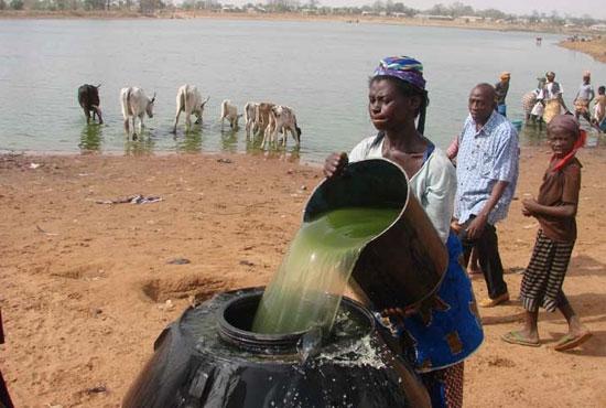 Water from the Tamale Reservoir, the main water source for the city of Tamale, Ghana, is poured into a purification tank. District 7570 (Tennessee; Virginia, USA) partnered with the Rotary Club of Tamale on a Matching Grant.